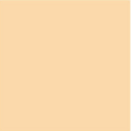 Zanderm precision concealer - First time customer