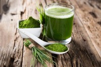 Green blood - chlorella Green blood - chlorella
